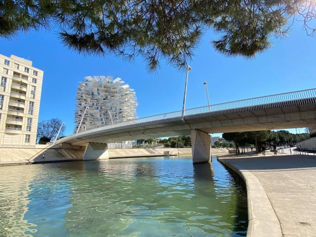 Arbreblanc_vuedepuislesrivesdulez_verticale