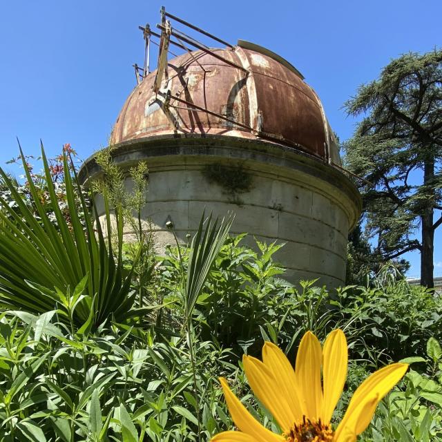 JardinDesPlantes_printemps