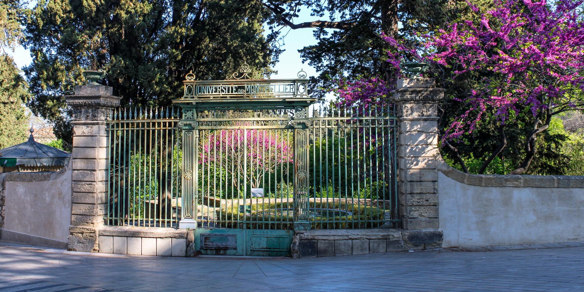 The Jardin des Plantes | Montpellier Tourism