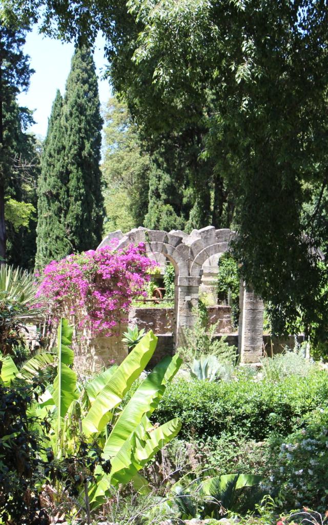 Jardindesplantes