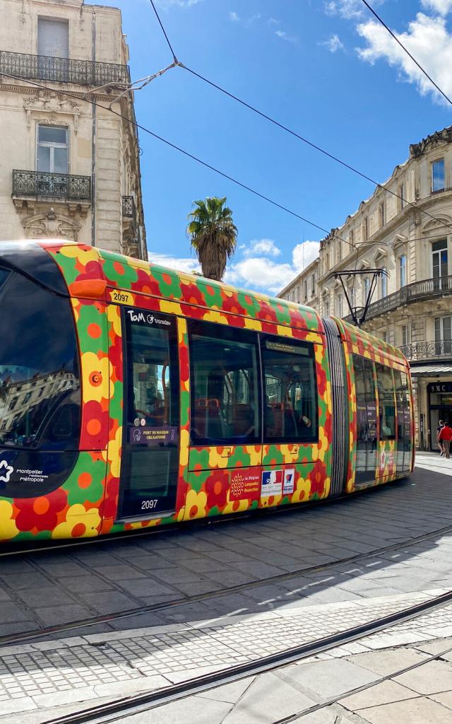 tramway_ligne1_placedelacomedie