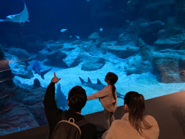 Aquarium Planet Ocean Montpellier en famille