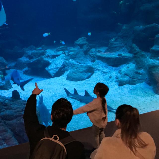 Aquarium Planet Ocean Montpellier en famille