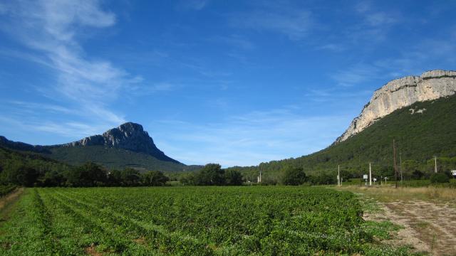 Pic Saint Loup Montpellier Wine Tour Excursion