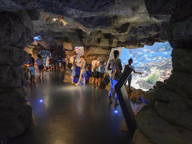 Planet Ocean Montpellier aquarium famille