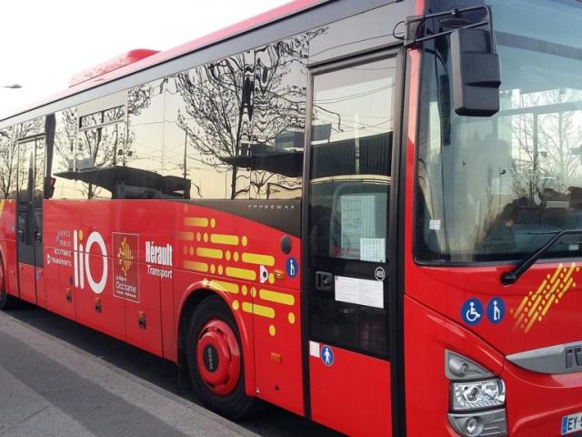 Lio_Heraulttransport