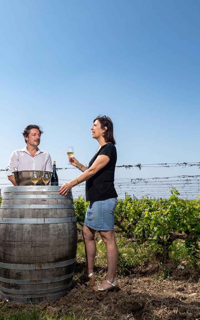 Villeneuve les maguelone vignes vin