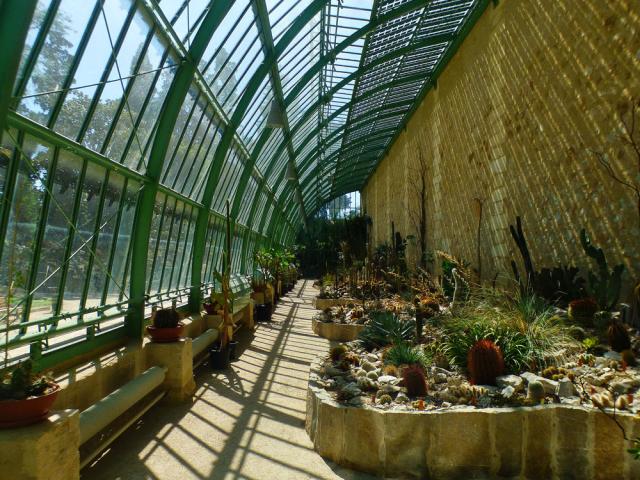 Interieur Verriere Jardin Des Plantes