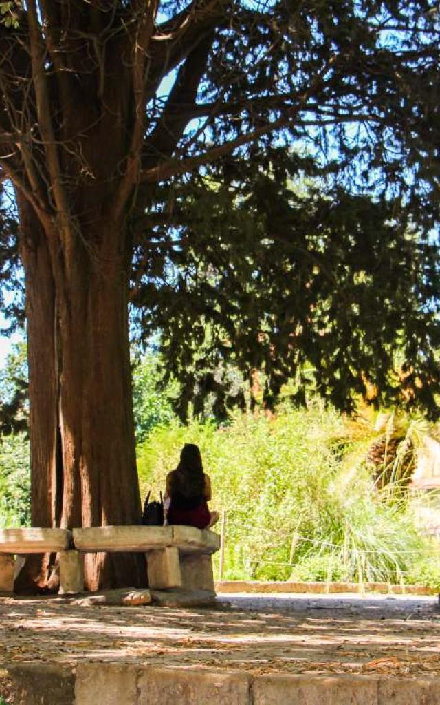 Jardin Des Plantes Montpellier