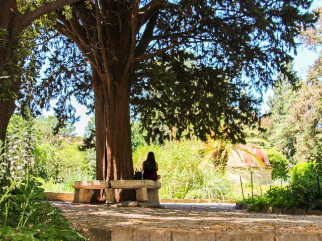 Jardin Des Plantes Montpellier