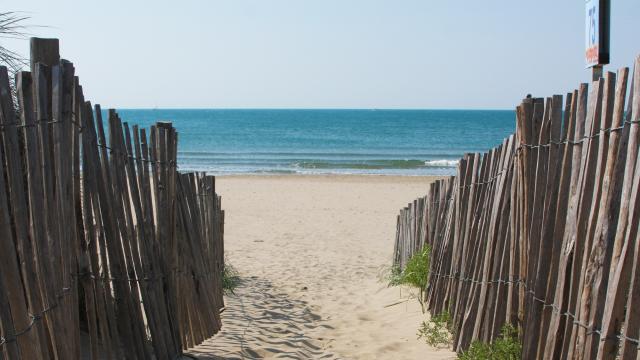 Plage Barriere Bois