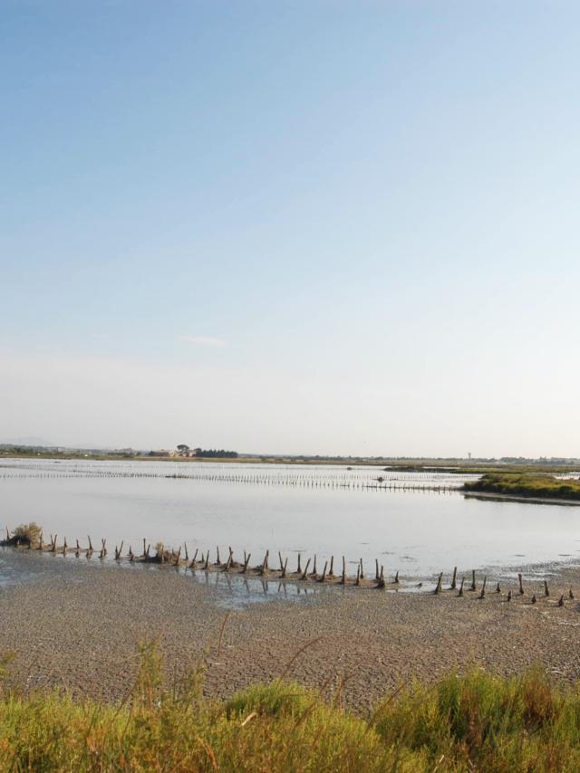 Salines De Villeneuve Les Maguelone
