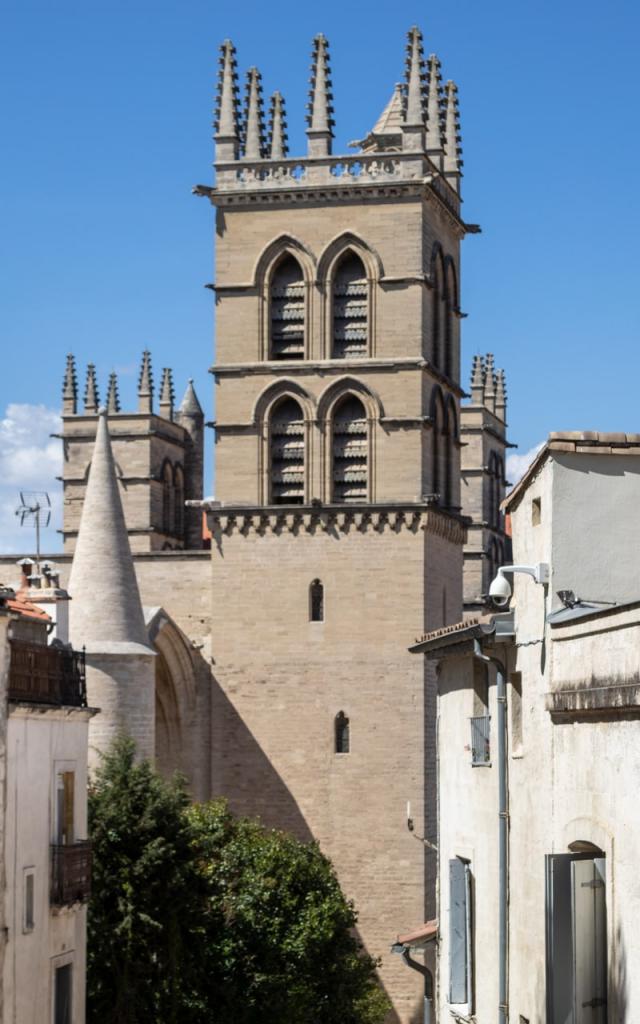 Vue_cathedrale_StPierre
