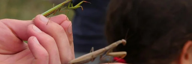 Ecologistes euzière