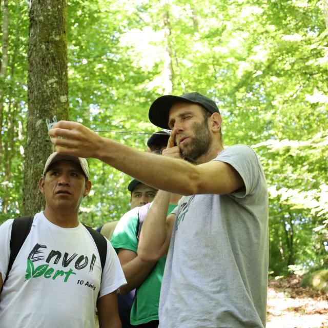 Envolvert Projet terrain pour une sylviculture engagée et vivante (Tarn)