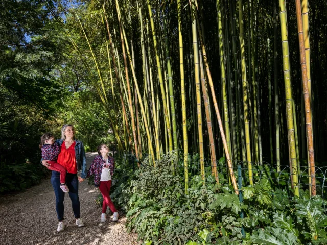 Famille Jardin des plantes
