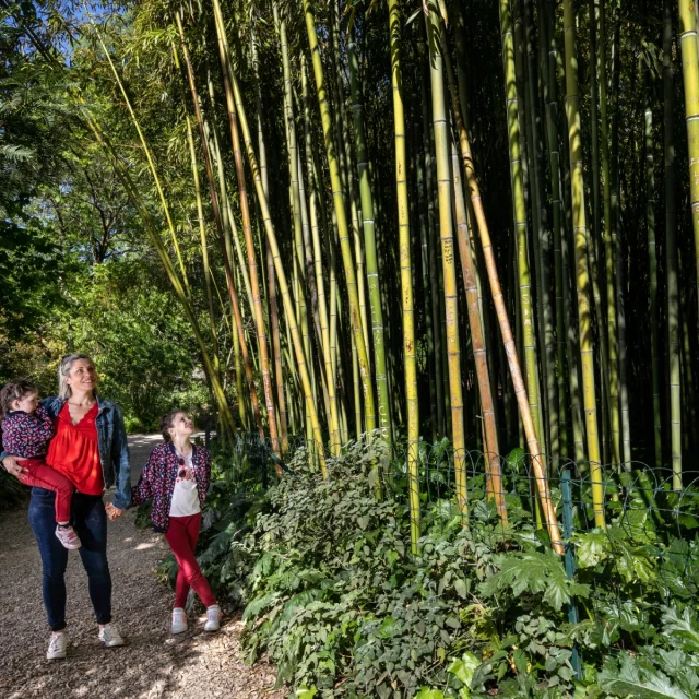Famille Jardin des plantes