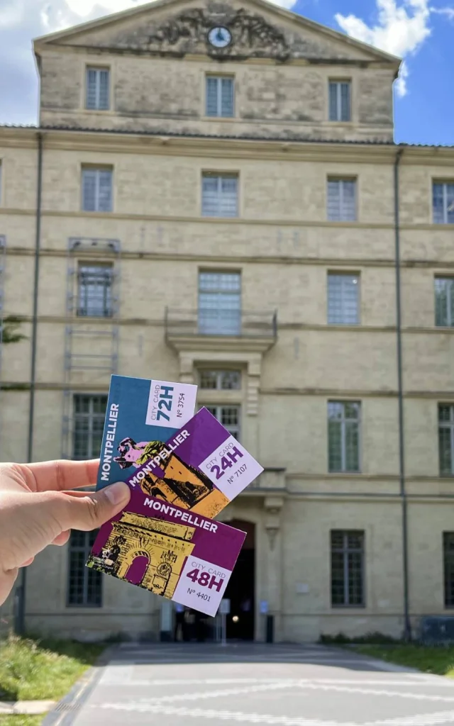 Citycard2025 Museefabre