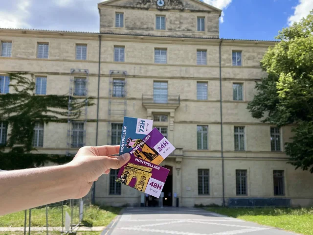 Citycard2025 Museefabre