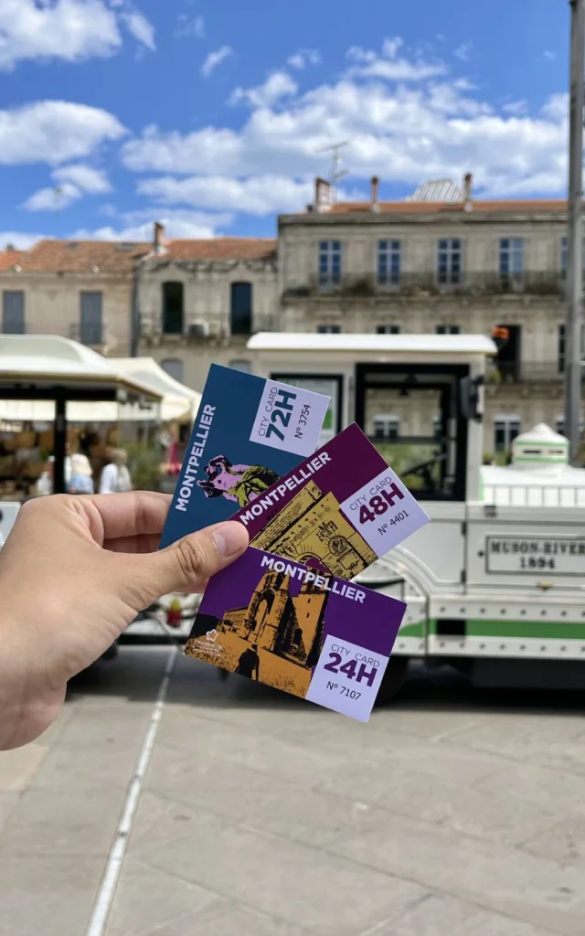 Citycard2025 Petittrain
