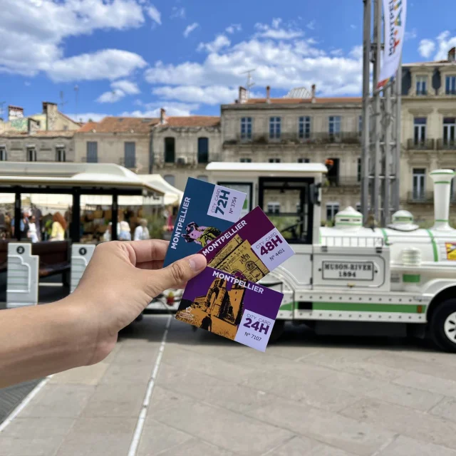 Citycard2025 Petittrain