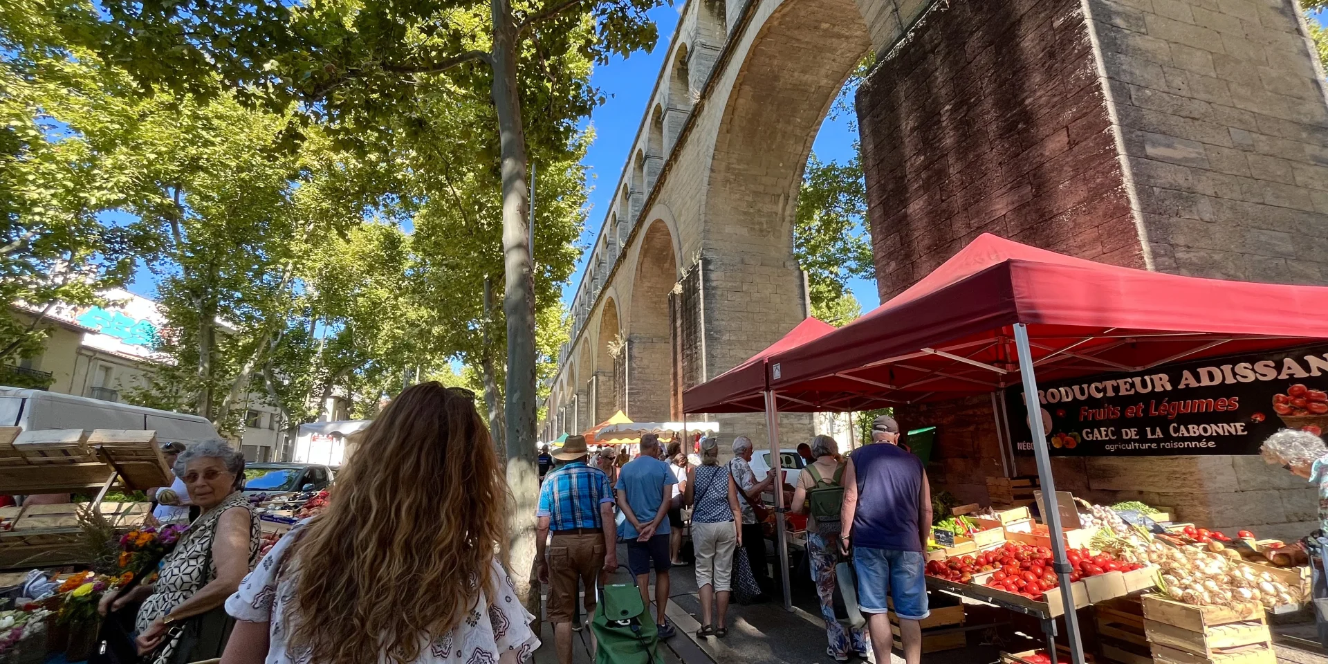 Marche Arceaux Ot3m1